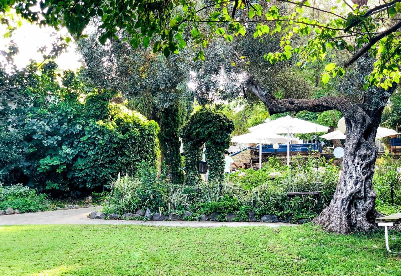 Travel Hotel Gesher Haziv Luaran gambar